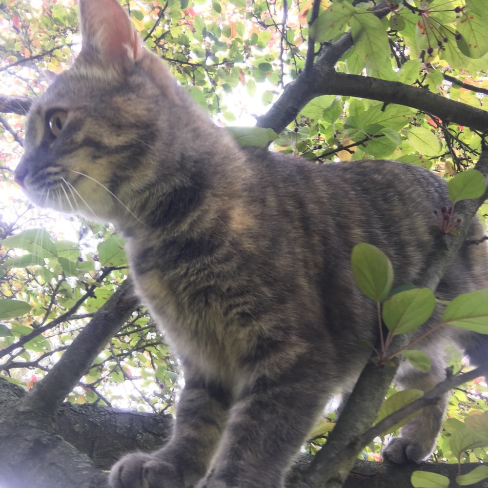 Meet your Posher, Jody